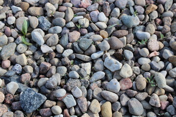 pebbles on a beach