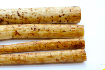 Fresh burdock roots or gobo roots