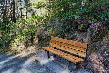 Wooden bench in the park