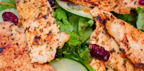 Plano horizontal a detalle de una ensalada de pollo y arandanos