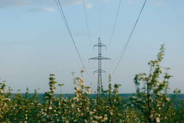 Tall power lines rise above green fields under a clear blue sky during the late afternoon