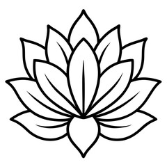 Minimal Boho Petals Vector on White