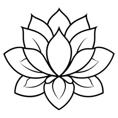 Minimal Boho Petals Vector on White