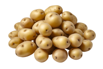 Pile of Small Fresh Potatoes Isolated on White for Healthy Eating Concepts: Natural Heap of Root Vegetables Imagery: Potatoes, Small, Pile, Isolated, White, Fresh, Healthy, Eating, Vegetable, Root.