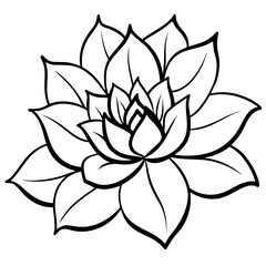 Minimal Boho Blossom Sketches Vector on White