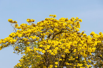 Statues displayed inside the Shenzhen Talent Park.