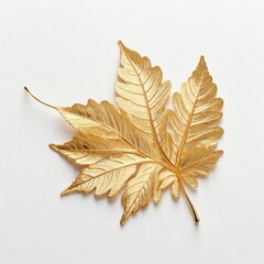 Golden Leaf Close-Up on White Background, Elegant Nature Photography