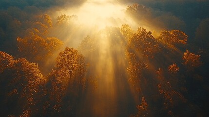 Fototapeta premium Sunbeams through autumn forest at dawn. Nature wallpaper