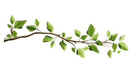 Obraz premium Spring Branch with Green Leaves Isolated on White Background - Botanical Illustration for Graphic Design Projects