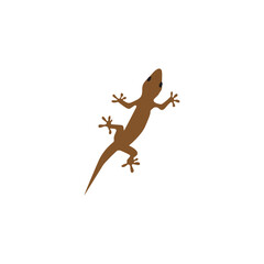 lizard logo and vector template