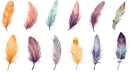 Exquisite set of hand-drawn feathers on white background for elegant designs