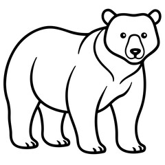 Minimal Bear Vector on White