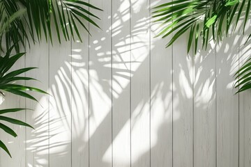 Tropical plant shadows on a white wooden wall