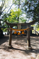 Kinrin lake in Yufuin town, Kinrin-ko lake, Oita prefecture, Japan, hot spring onsen resort town, with mount Yufu, Kyushu island region, rural mountain landscape, a spring day with a blue sky