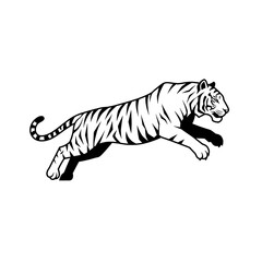 Obraz premium white tiger vector illustration