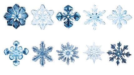 Ten unique snowflakes, captured in stunning detail against a white background.  Their intricate icy structures showcase the beauty of winter's natural artistry.