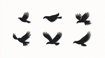 Fototapeta premium Bird silhouettes in flight