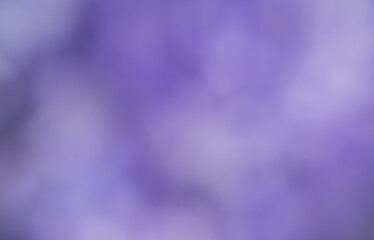 Background of Beautiful Purple Color