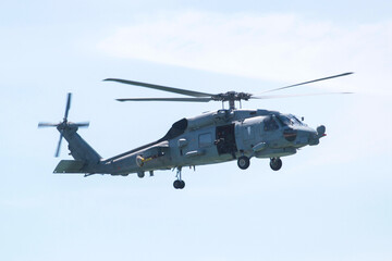 military maneuvers. Infantry, aviation and navy landing	