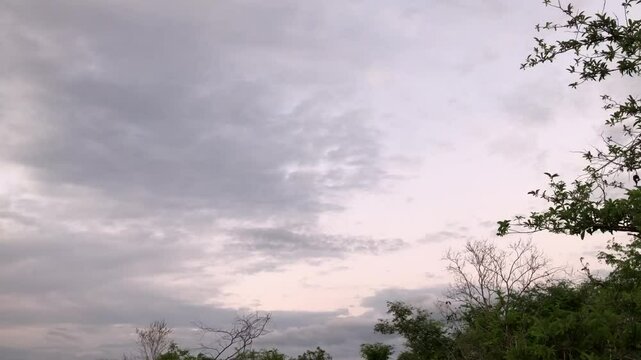 clouds in the sky