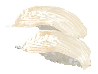 ヒラメの握り寿司ニ貫（皿なし）