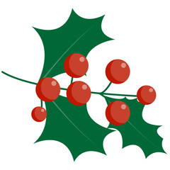 Christmas holly berry leaves. Vector illustration. Holly Berry Christmas.  © Hann Design