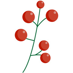 Christmas holly berry leaves. Vector illustration. Holly Berry Christmas. 