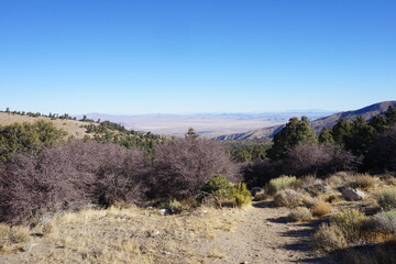 A winding mountain trail in Big Bear opens up to a stunning view of the sprawling desert basin and layered mountain ranges under a crisp, clear sky.