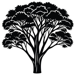 Acacia trees icon set isolated on white background