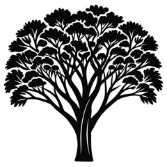 Obraz premium Acacia trees icon set isolated on white background
