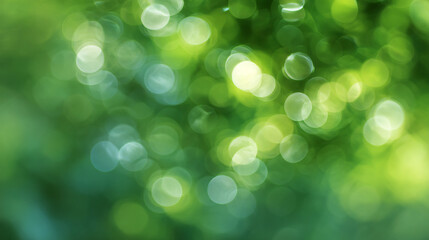 Obraz premium Abstract green nature bokeh background for wallpaper and graphic design resource material use fresh look