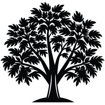 Koa trees icon set isolated on white background