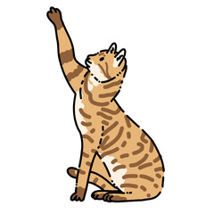 Cute Cat Cartoon Illustration of Adorable Kitten in Various Poses for Pet Lovers, Animal Design, and Hand-Drawn Style Projects