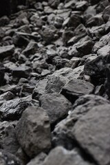 Black coal for fossil energy