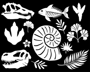 Prehistoric fossil silhouettes collection including dinosaur skulls, fish skeleton, ammonite shell, footprints, and ancient leaves and flowers. Perfect for educational materials, vintage biology theme