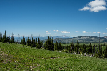 Fototapeta premium Looking West Across Yellowstone