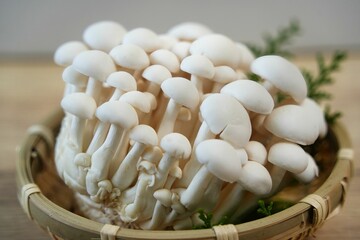 優しい甘みのブナピー