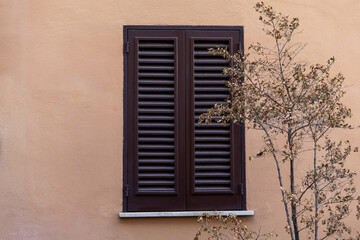 Rustic charm of wooden shutters against a warm plaster wall with a touch of nature in a quaint courtyard