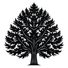 Yew trees icon set on white background