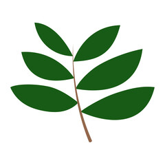 branch with green leaves