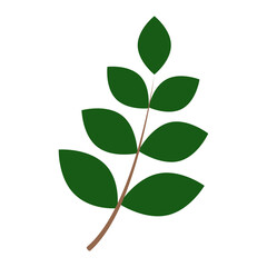 green leaf with branch icon