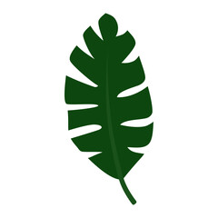 green monstera leaf icon