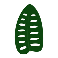 monstera leaf icon