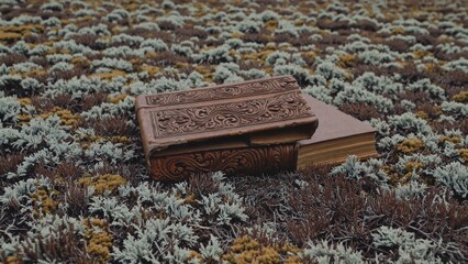 Two antique embossed leather books lie on a bed of moss and lichen, possibly forgotten or left intentionally, evoking a sense of mystery and the passage of time in a serene natural setting