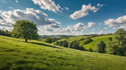 Obraz premium landscape with green grass and blue sky