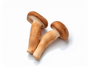 Two Fresh Brown Shiitake Mushrooms Isolated on White Background Perfect for Culinary and Dietary Use