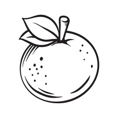 Cartoon vector line art doodle of orange fruit object and symbols.