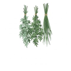 Fototapeta premium Hanging mugwort and calamus, white background. Dragon Boat Festival concept.