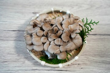 芳醇な香りのマイタケ