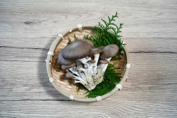 風味豊かなヒラタケ